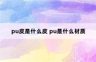 pu皮是什么皮 pu是什么材质